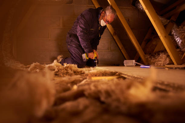 Best Insulation Installation Services in Montgomery, TX
